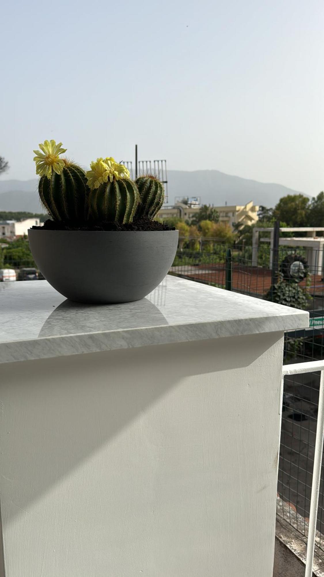 Bed and Breakfast Vesuvius Pompeii Esterno foto